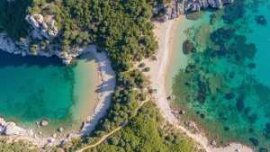 Kolias