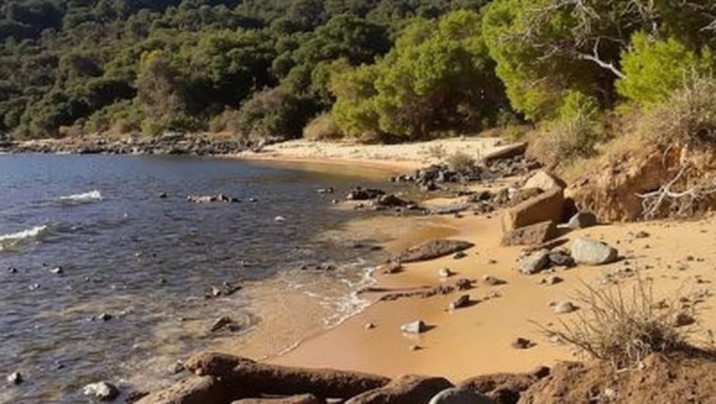 Plage de la Garrigue - Saint-Tropez, Côte d'Azur