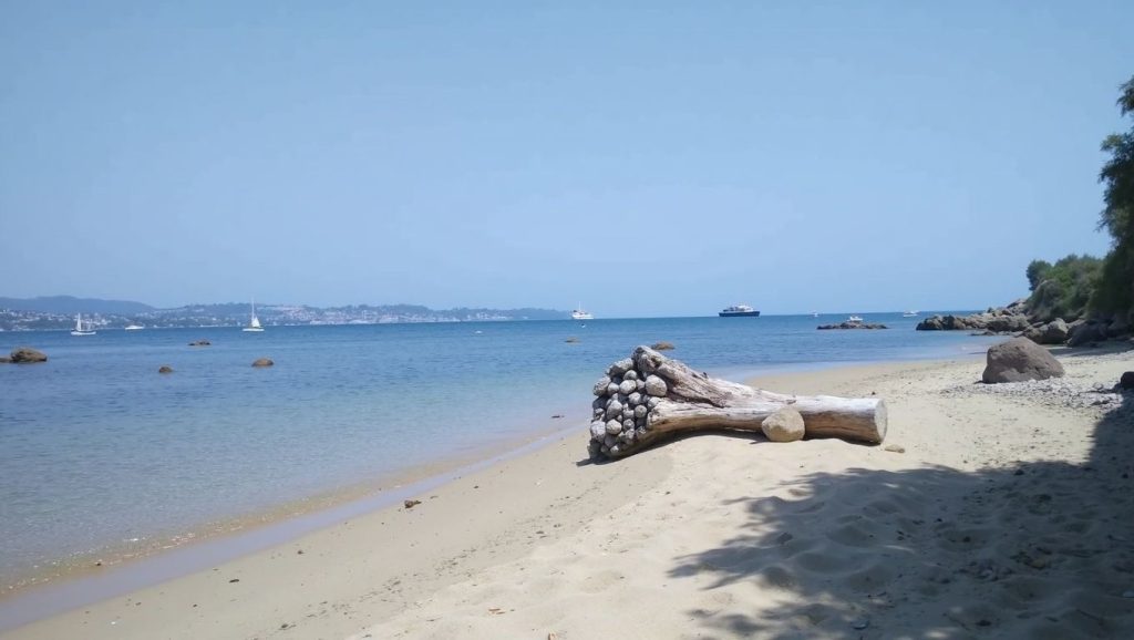 Plage de la Moune - Gassin, Côte d'Azur