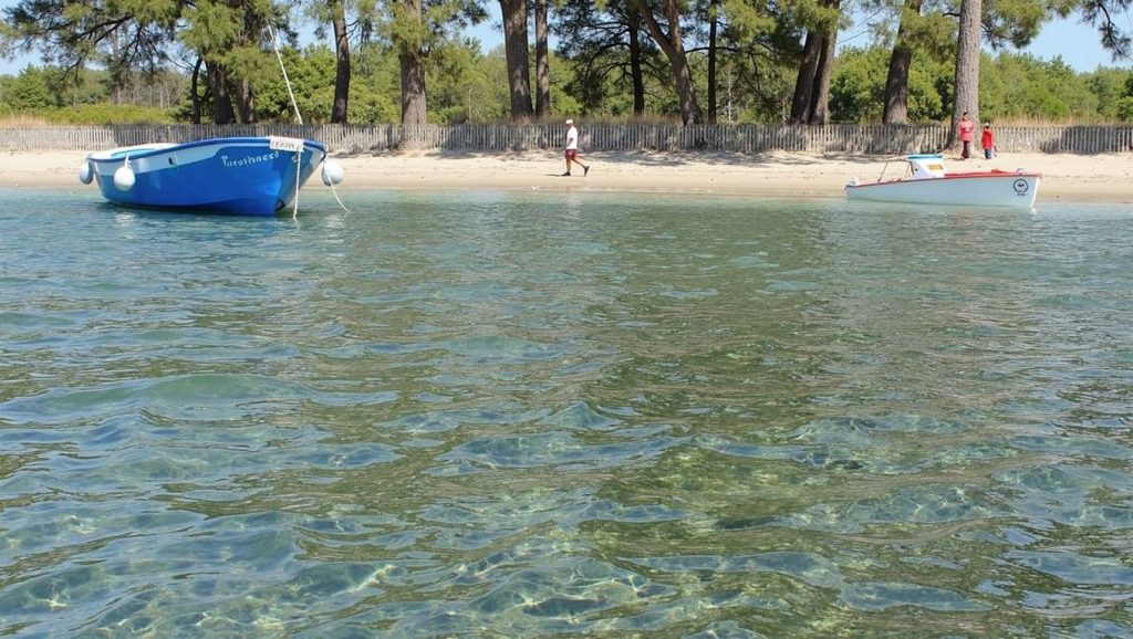 Plage du Pellegrin - Bormes-les-Mimosas - Bormes-les-Mimosas, Côte d'Azur