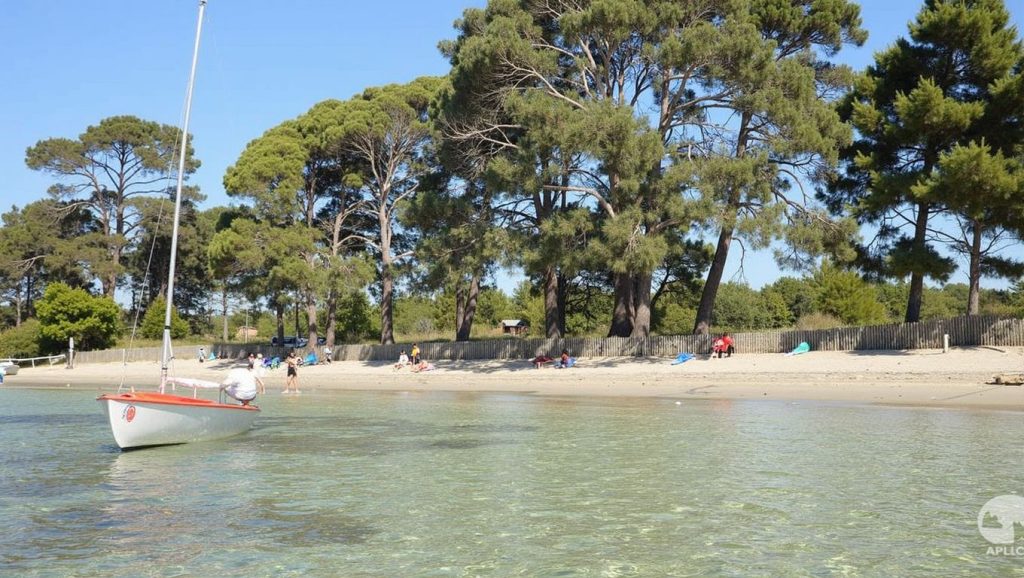 Plage de Brégançon - Bormes-les-Mimosas, Côte d'Azur