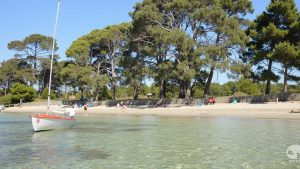 Plage de Brégançon (Bormes-les-Mimosas, Var)