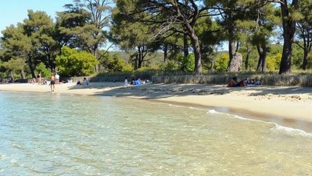 Plage du Pellegrin - La Londe-les-Maures - La Londe-les-Maures, Côte d'Azur