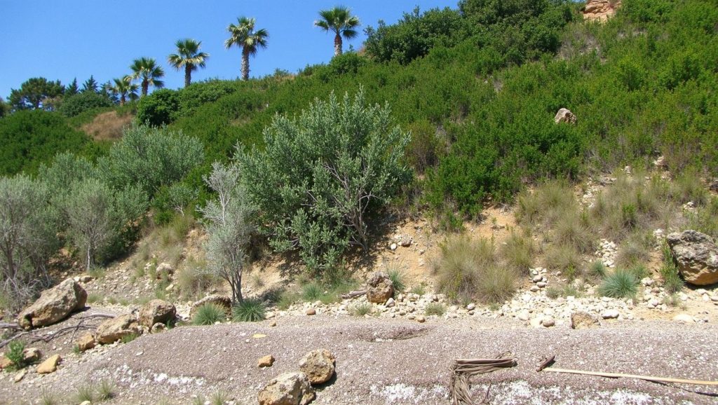 Ai Helis - Cefalonia, Grecia