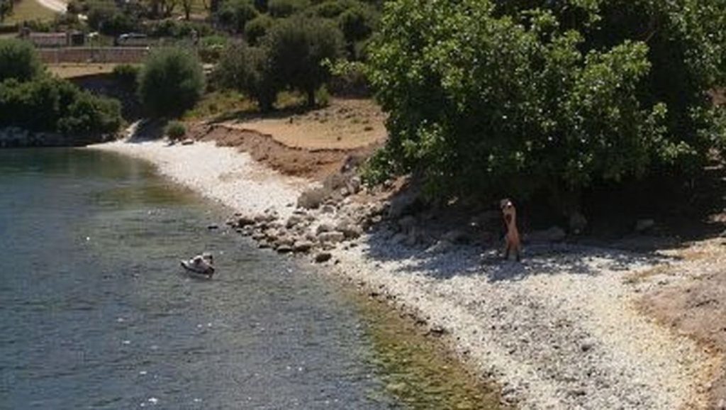 Plati - Cefalonia, Grecia