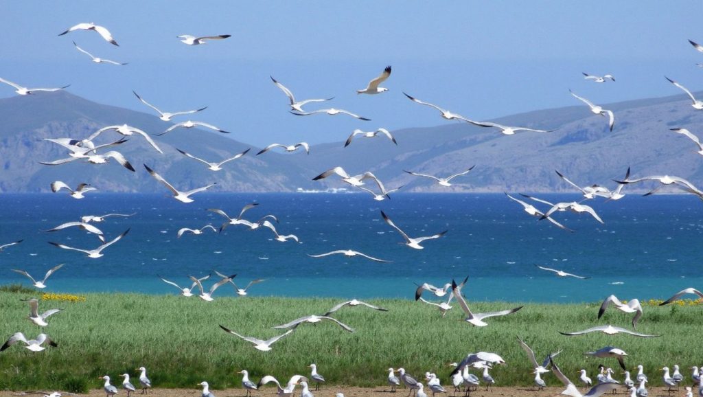 Playa de Troulos (Tam Tam) - Kos, Grecia