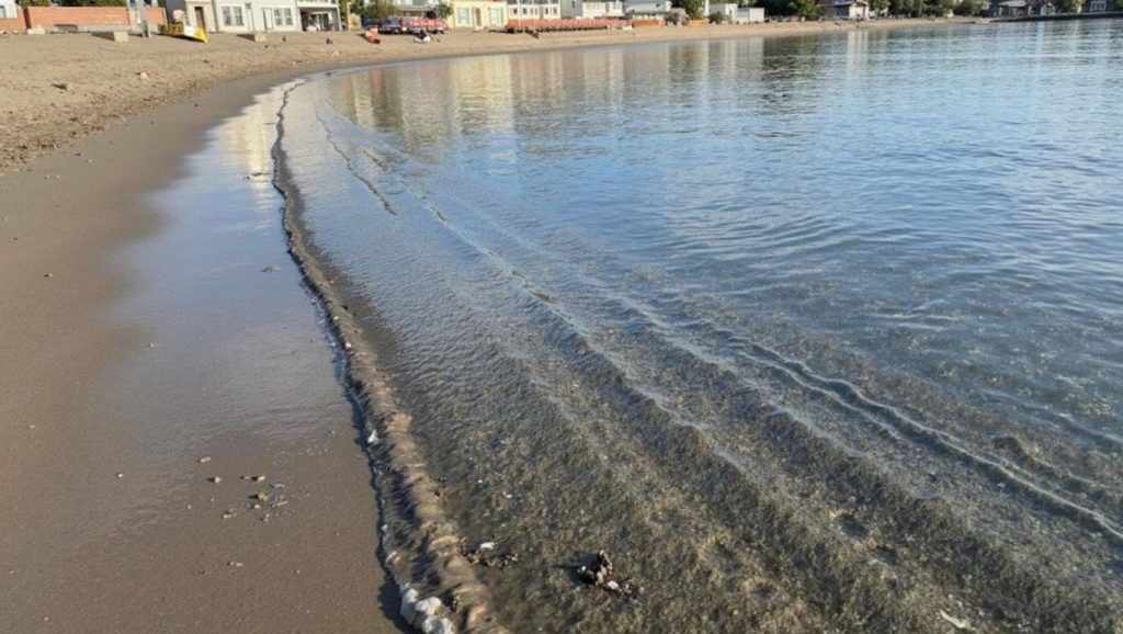Playa del Duque - Marbella, Málaga
