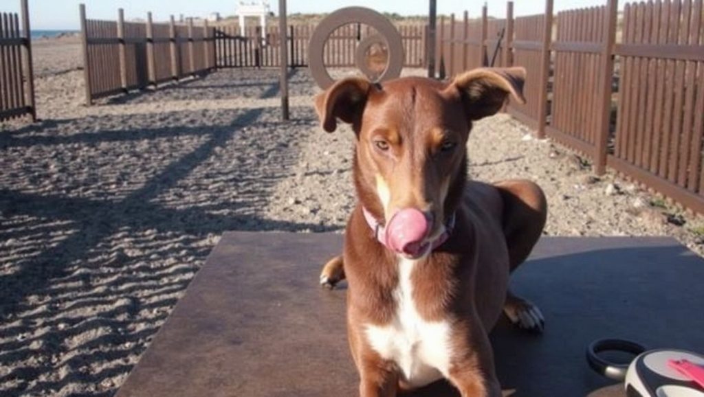 El Mortero/Canina - Vélez-Málaga (Torre del Mar), Málaga