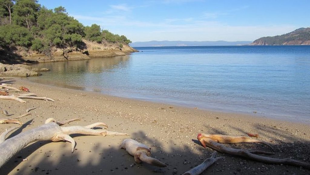 Plage de l'Alycastre - Hyères, Côte d'Azur