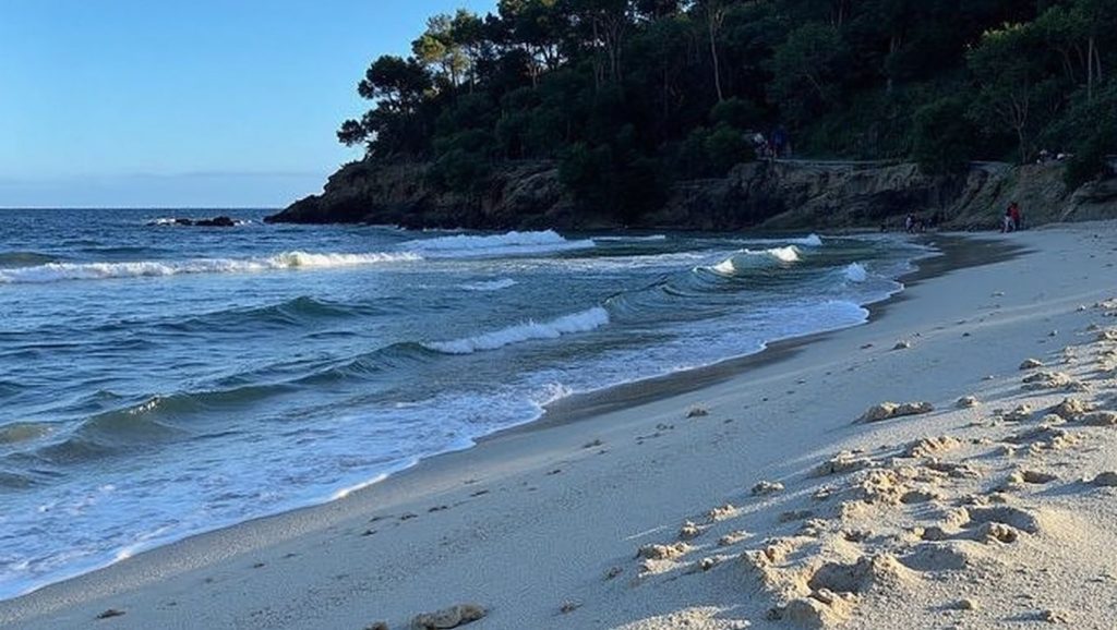 Plage du Rayol - Rayol-Canadel-sur-Mer, Côte d'Azur
