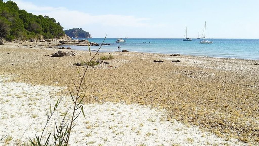 Plage du Pellegrin - Bormes-les-Mimosas - Bormes-les-Mimosas, Côte d'Azur