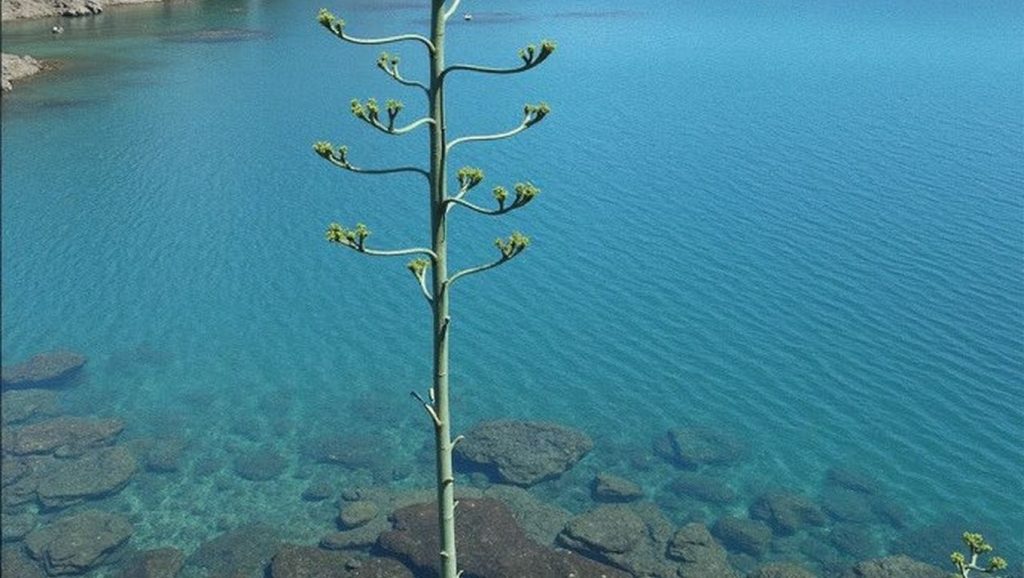 Ladiko Beach - Rodas, Grecia