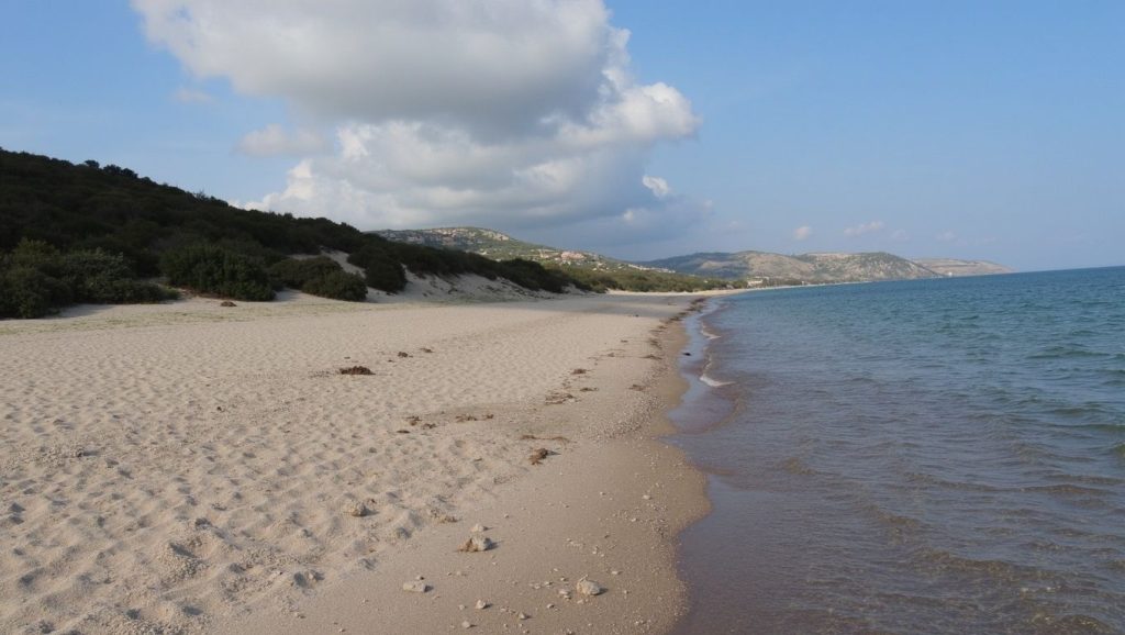 Playa Magic (Exotic) - Kos, Grecia