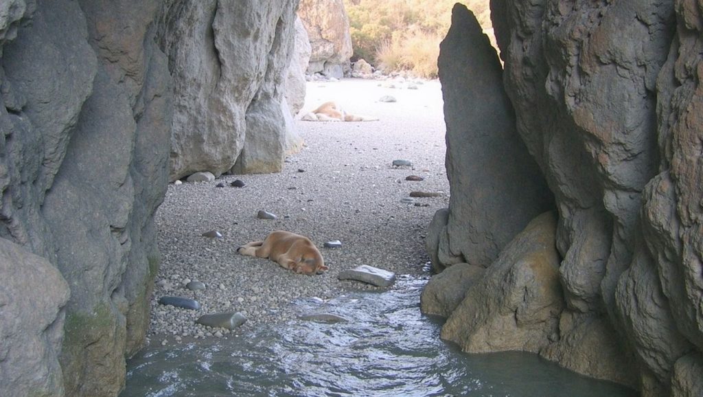 Voudia - Milos, Grecia