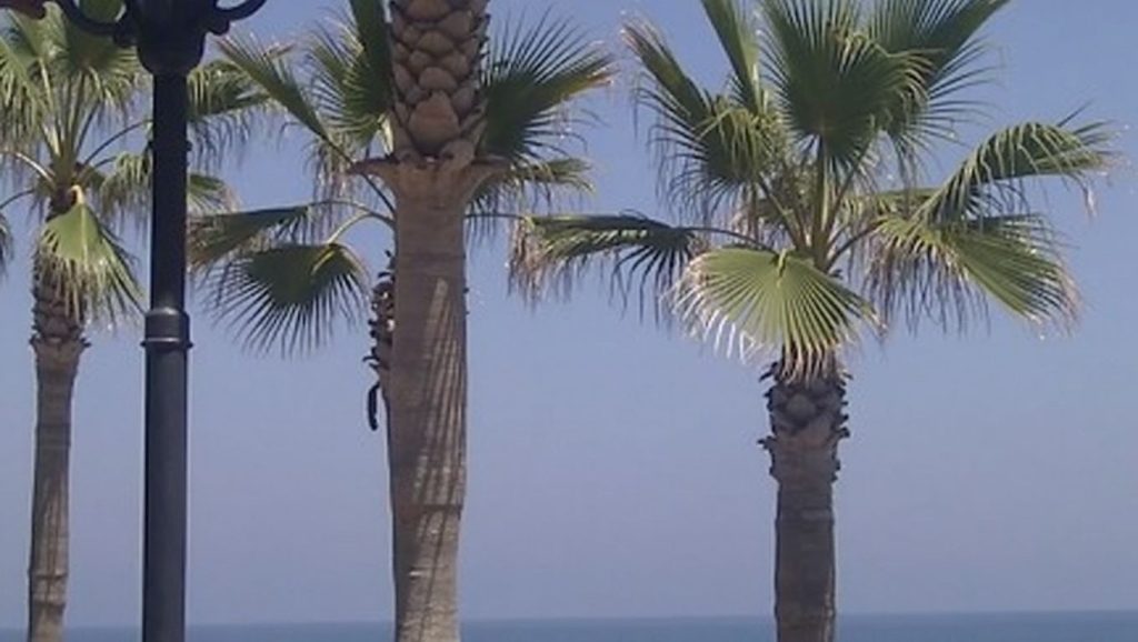 Playa de Tubalita - Manilva, Málaga