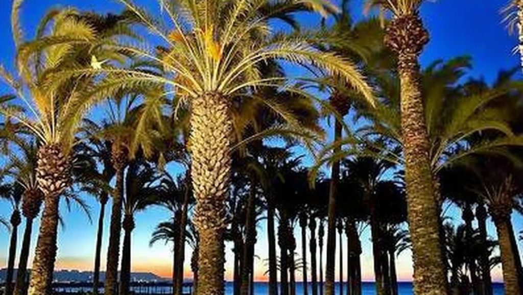 Playa del Lido - Torremolinos, Málaga