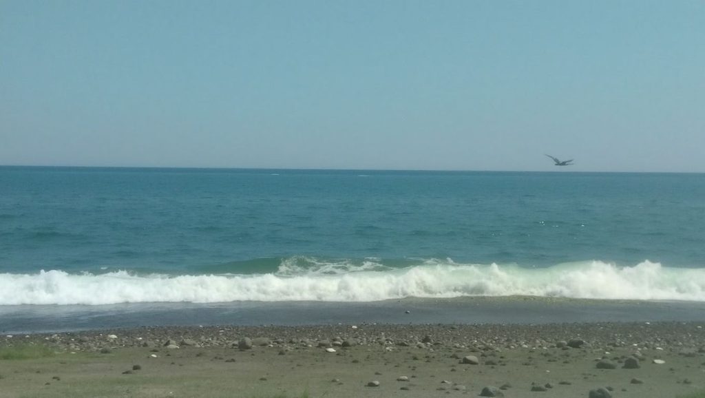Las Parras - Vélez-Málaga (Benajarafe), Málaga