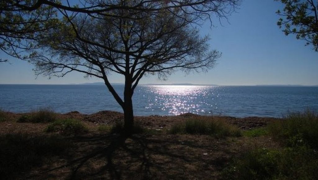 Plage naturiste des Vieux Salins - Hyères, Côte d'Azur