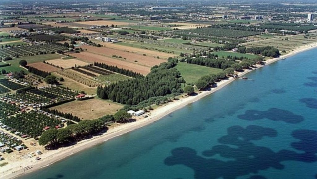Platja de la Morera - Mont-roig del Camp, Barcelona