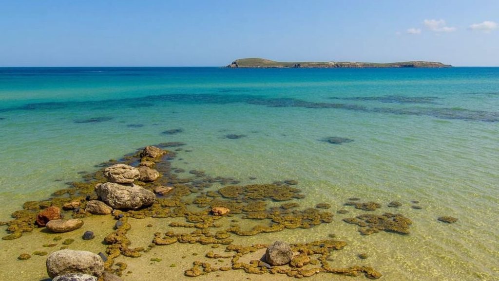 Tserdakia (New Golden Beach) - Paros, Grecia
