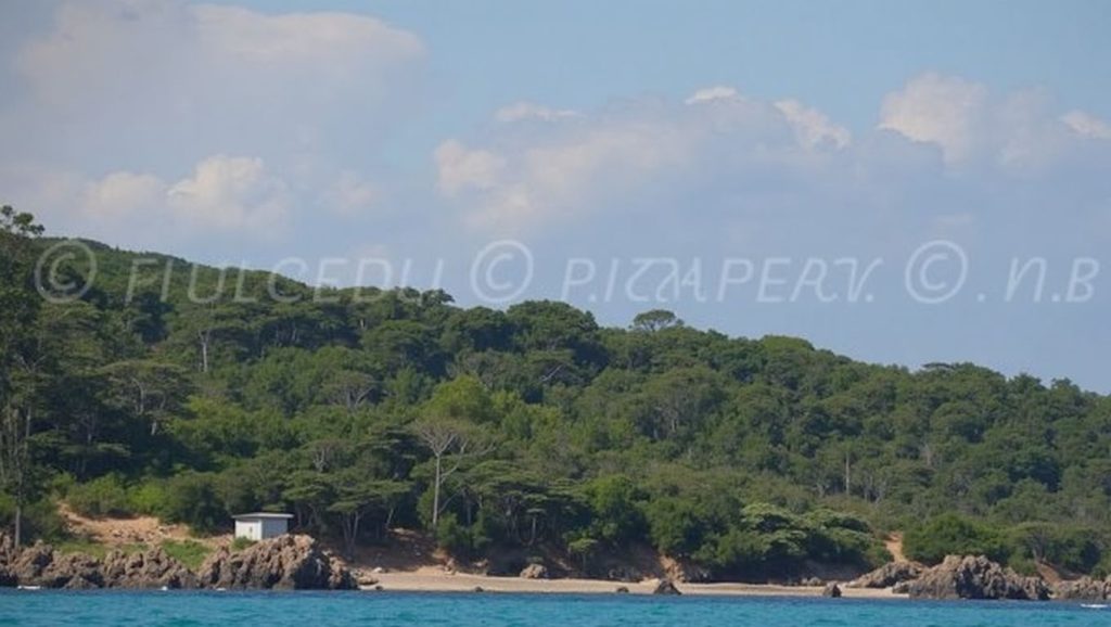 Plage des Salins - Saint-Tropez, Côte d'Azur
