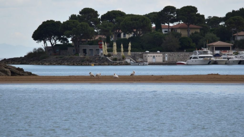 Plage de la Galiote - Fréjus, Côte d'Azur