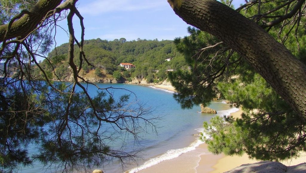 Plage du Rayol - Rayol-Canadel-sur-Mer, Côte d'Azur