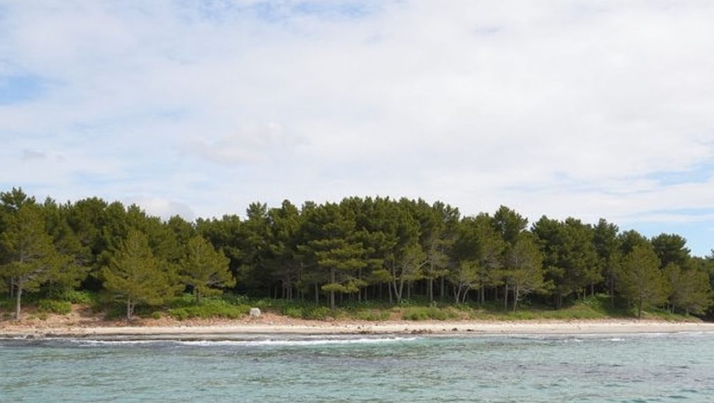 Plage du  Grand Jardin - Bormes-les-Mimosas, Côte d'Azur