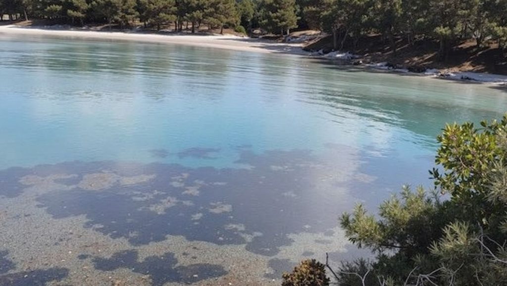 Plage de l'Estagnol - Bormes-les-Mimosas, Côte d'Azur