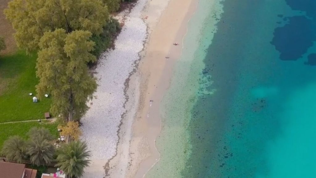 Kogevina - Corfú, Grecia