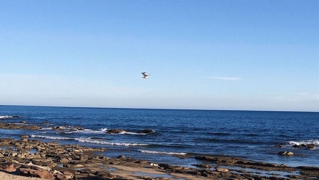 Plage de la Tortue - Saint-Raphaël, Côte d'Azur