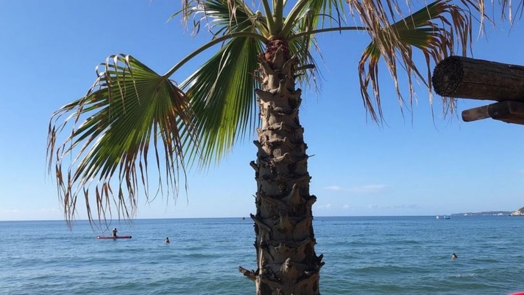 Plage du Dauphin - Cavalaire-sur-Mer, Côte d'Azur