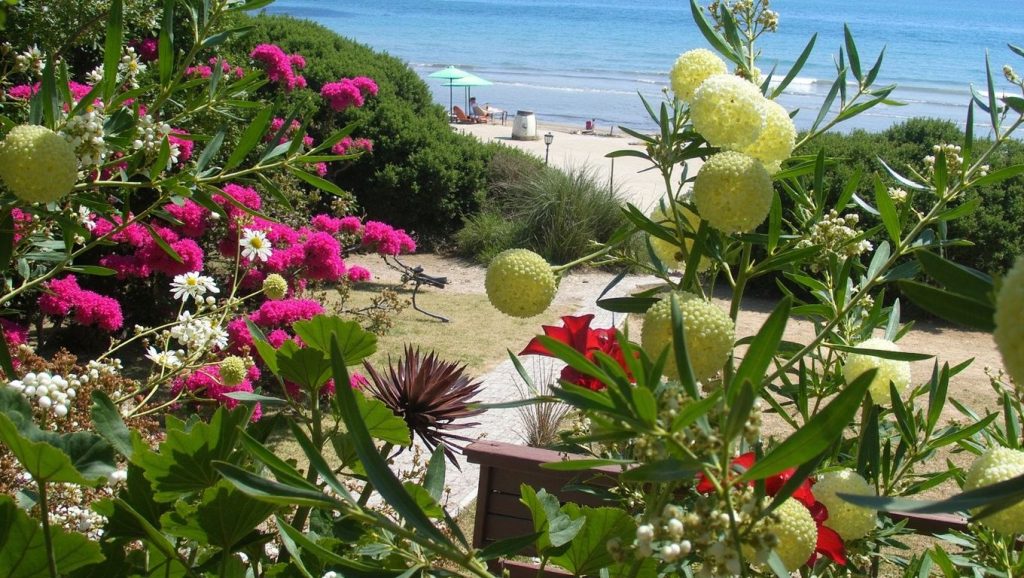 Kaminia Sur - Cefalonia, Grecia