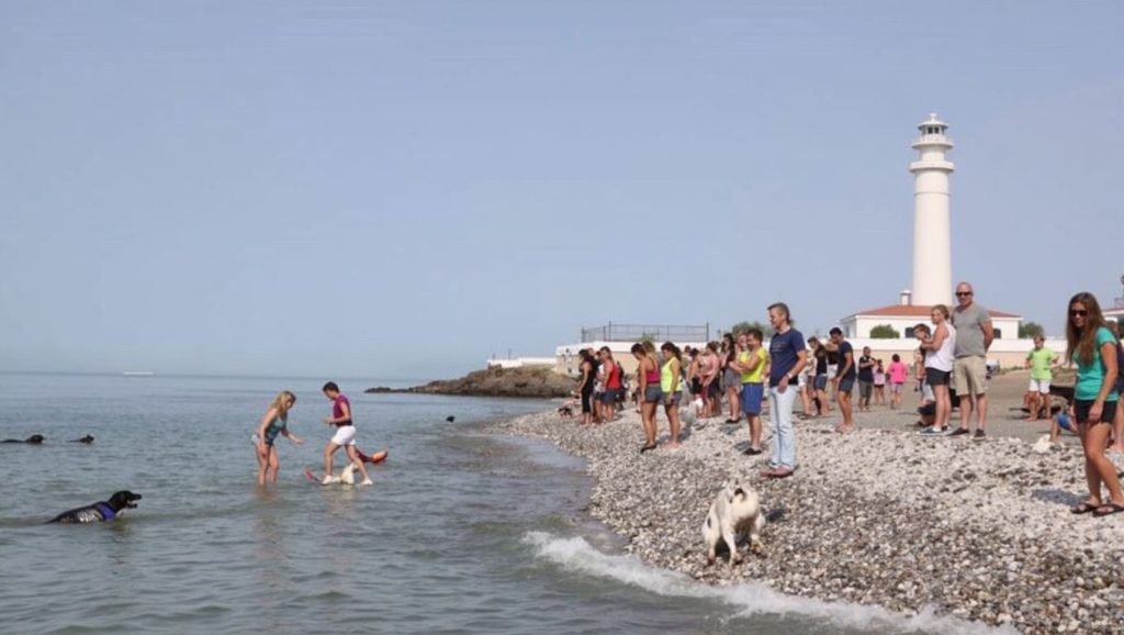 Cenicero (Los Llanos) - Torrox, Málaga