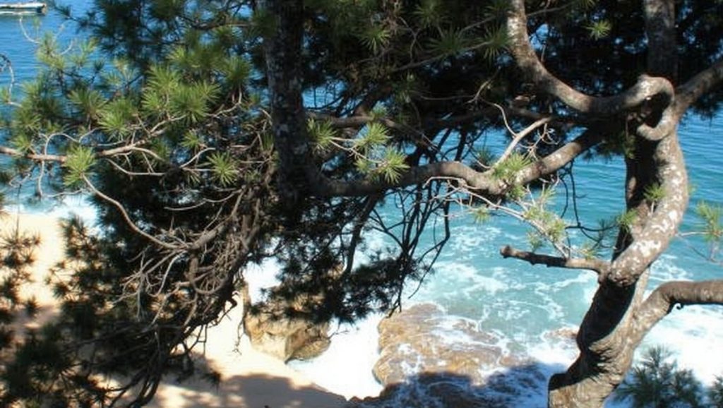 Plage des Oursinières - Le Pradet, Côte d'Azur