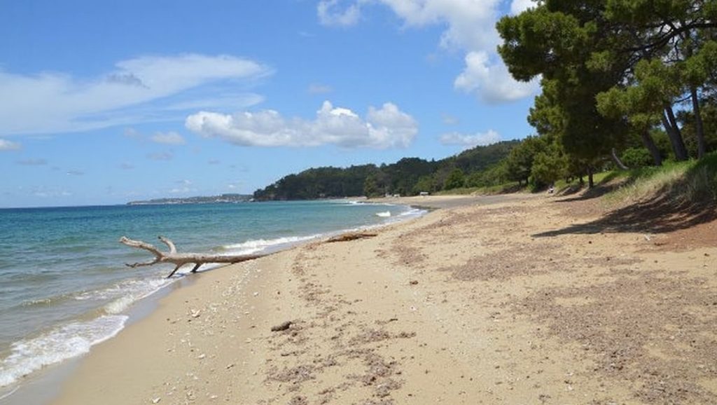 Plage du Pellegrin - Bormes-les-Mimosas - Bormes-les-Mimosas, Côte d'Azur