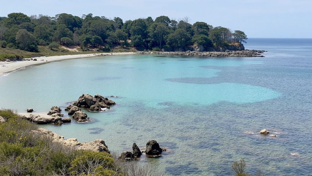 Plage de la Vignasse - Bormes-les-Mimosas, Côte d'Azur