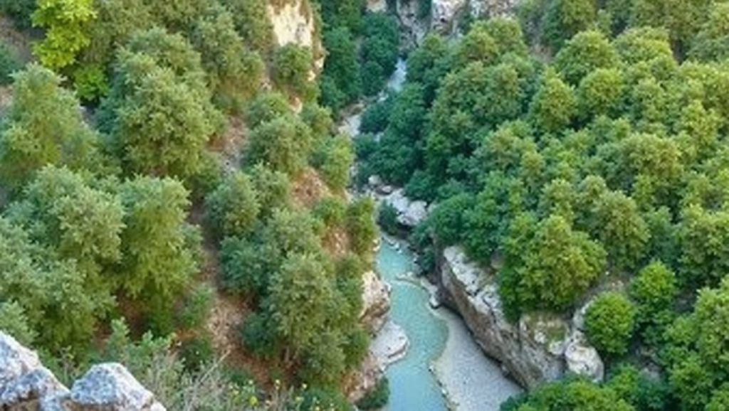 Plage Margaridon - Les Salles-sur-Verdon, Côte d'Azur
