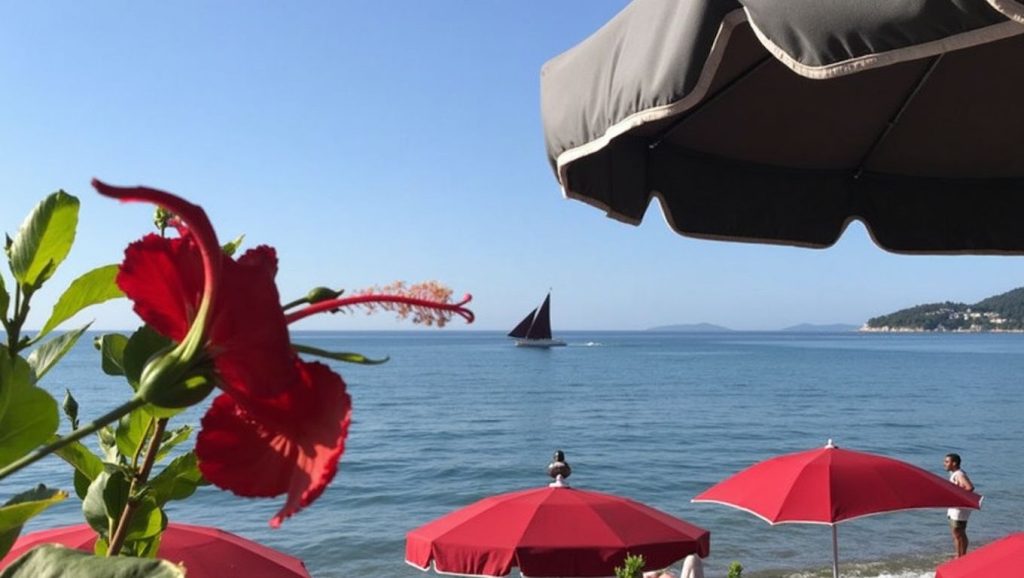 Plage du Dauphin - Cavalaire-sur-Mer, Côte d'Azur