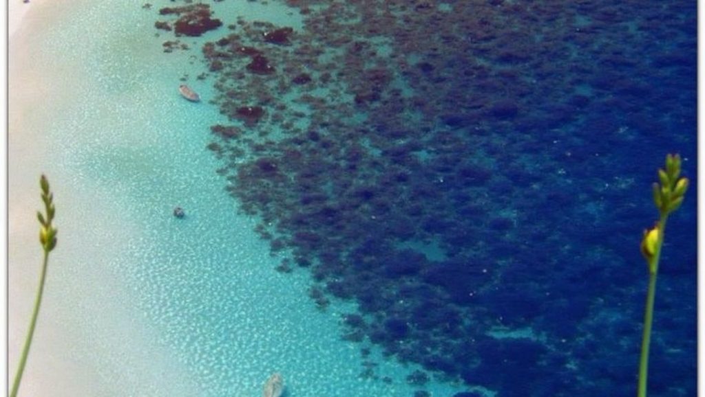 Koutoupi - Cefalonia, Grecia