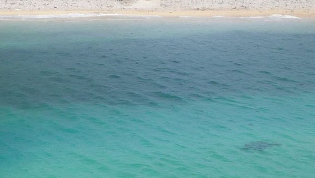 Plage des Oursinières - Le Pradet, Côte d'Azur