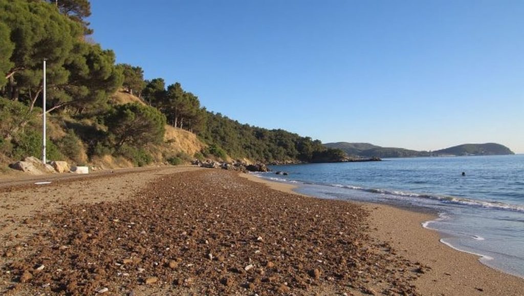 Plage du Monaco - Le Pradet, Côte d'Azur