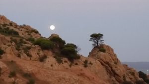 Platja d’Aigua Xelida (Palafrugell, Girona)
