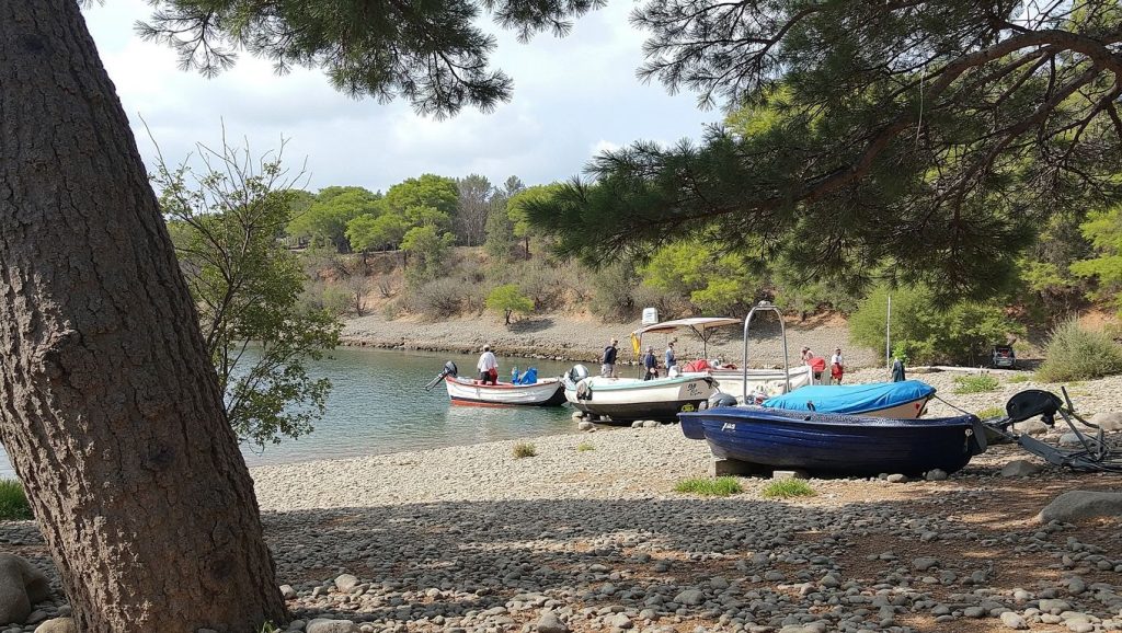 Platja d'en Noves — foto 4 de 6