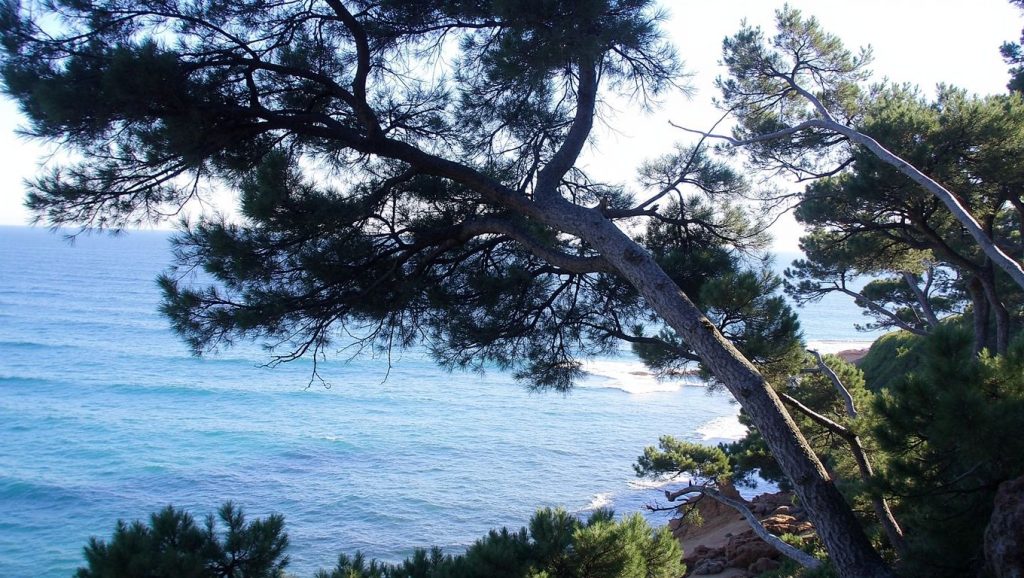 Platja de Can Cristus — foto 4 de 6