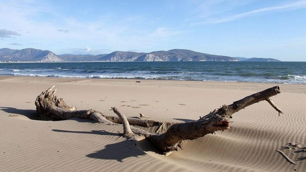 Platja de Can Sopa — foto 2 de 6