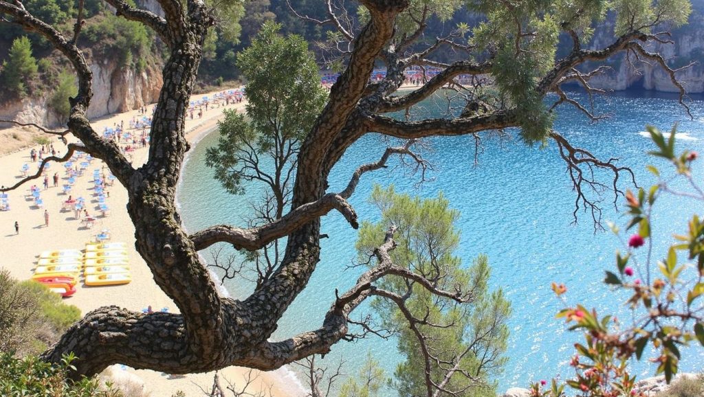 Platja de Giverola — foto 3 de 6