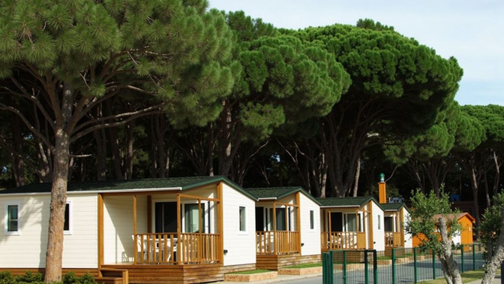 Platja de l'Illa Mateua — foto 6 de 6
