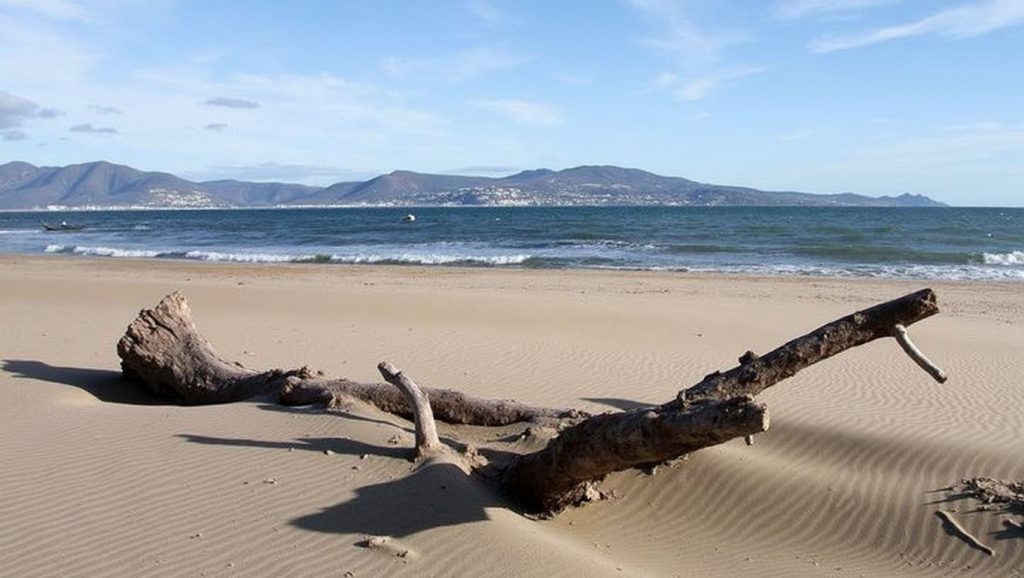 Platja de la Cagarra — foto 6 de 6