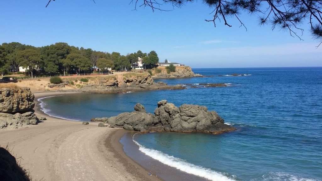Platja de la Farella del Mig — foto 3 de 6
